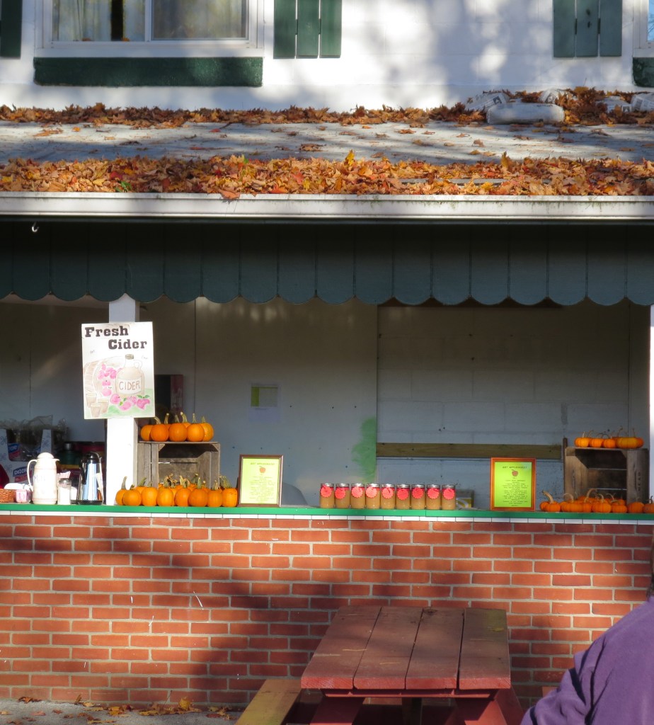 don't worry - i didn't escape the fairgrounds without some hot cider in hand!