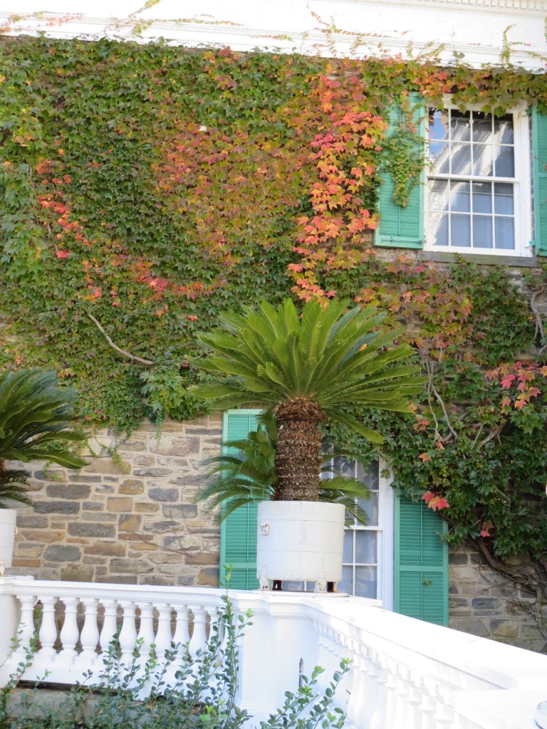 The palms indicate wealth, which the Roosevelts surely had.