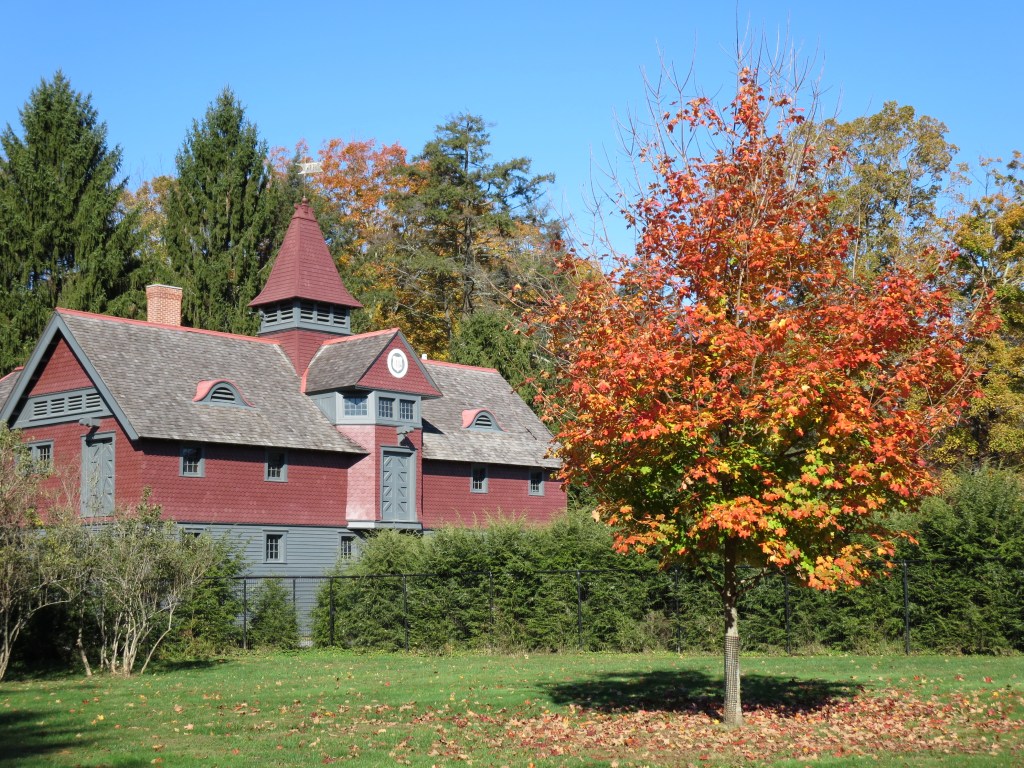 I believe those were the stables in the background.