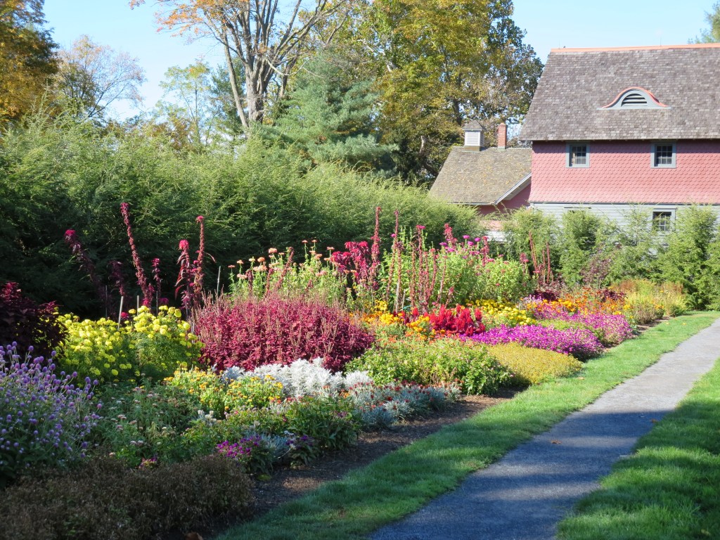 Some of the plantings in the Rose Garden begun by FDR's mother, Sarah.