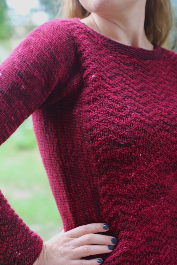 VelmaAllysonDykhuizenKnitsinClassHKFall14.4